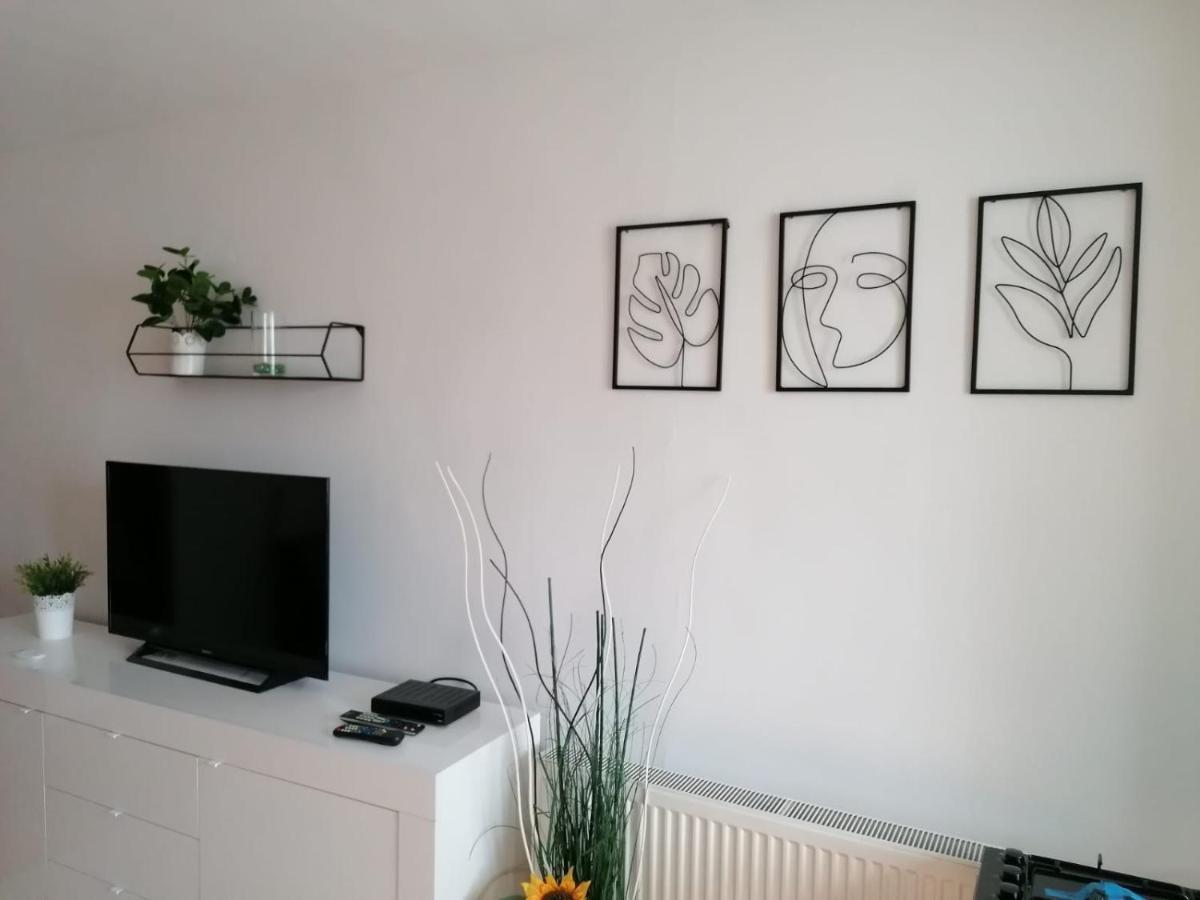 Nexus Studio Deluxe Miercurea Ciuc Eksteriør billede